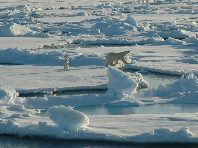 sea and the Arctic Governance